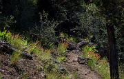 Trail 18-9327